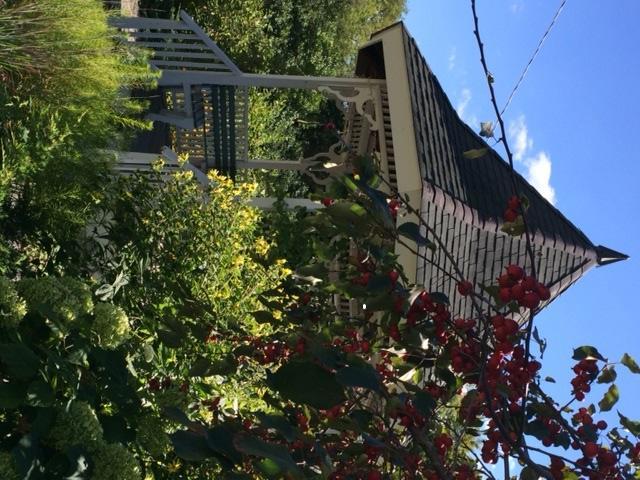 Breezy Hill Bed and breakfast